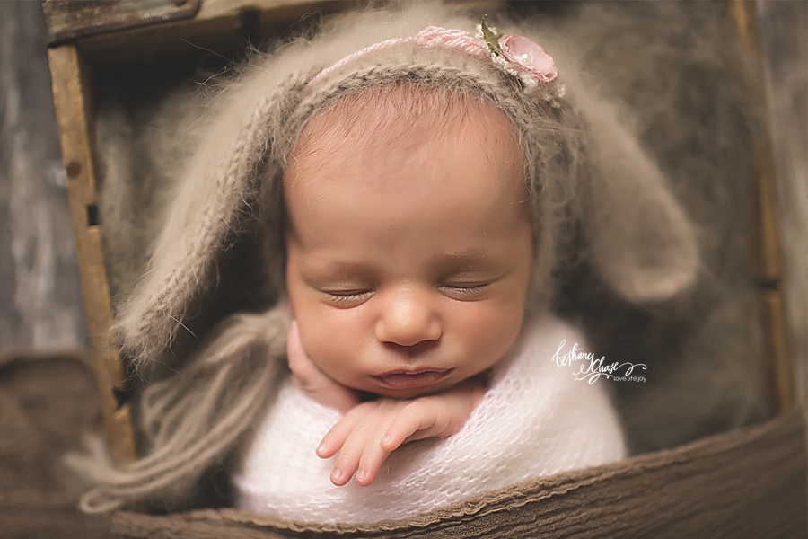 Rochester Newborn Photographer